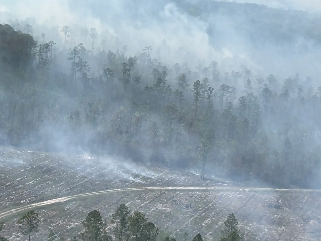 portland weather hourly
